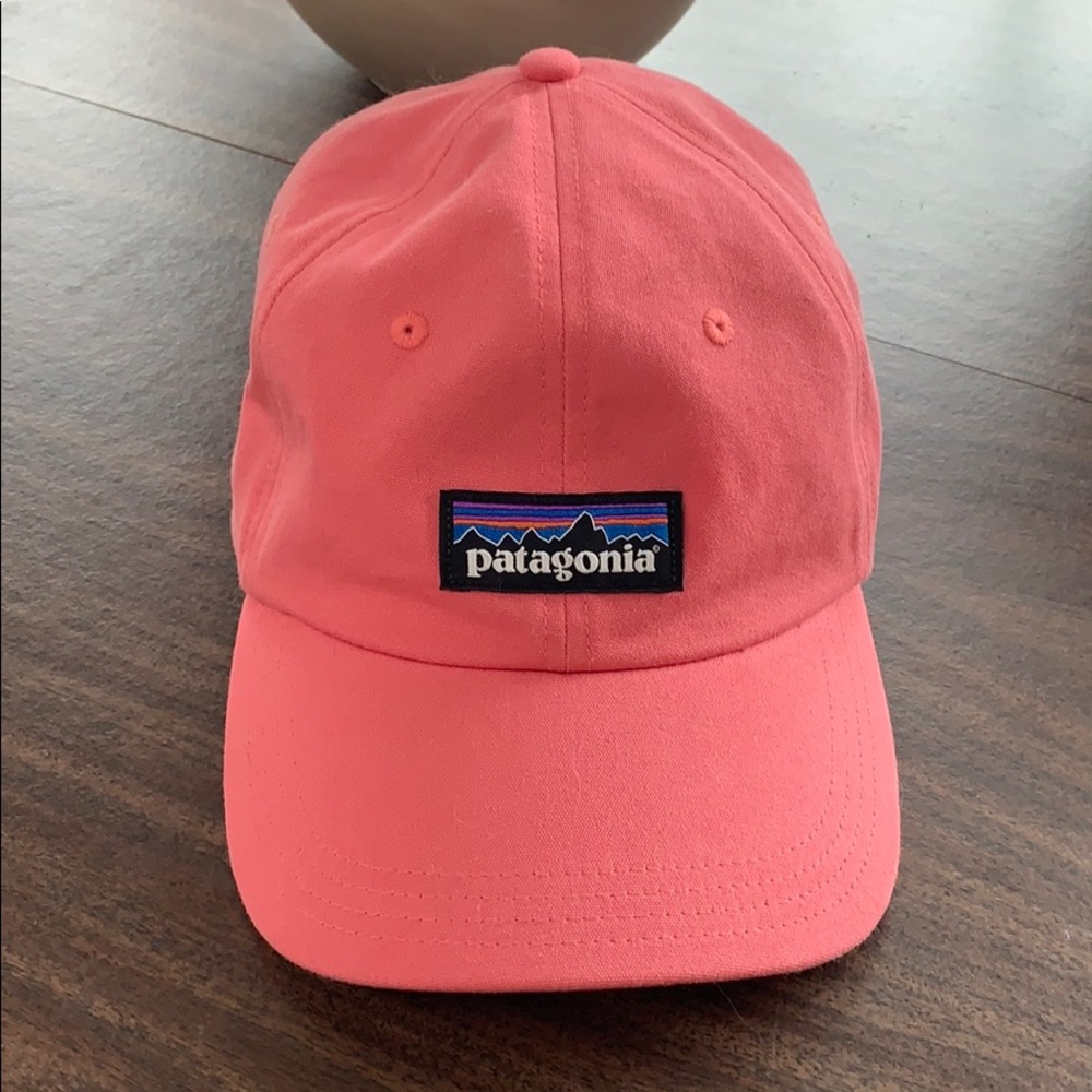 Patagonia P-6 Label Pink Trad Cap